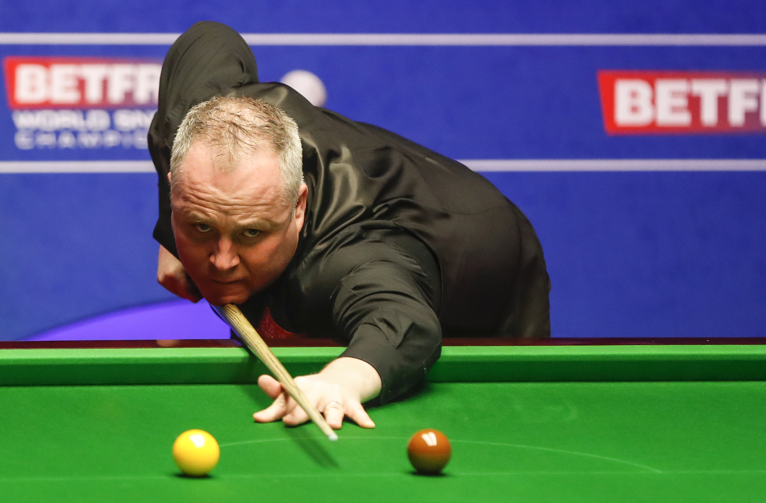 面对顽强的 面对顽强的