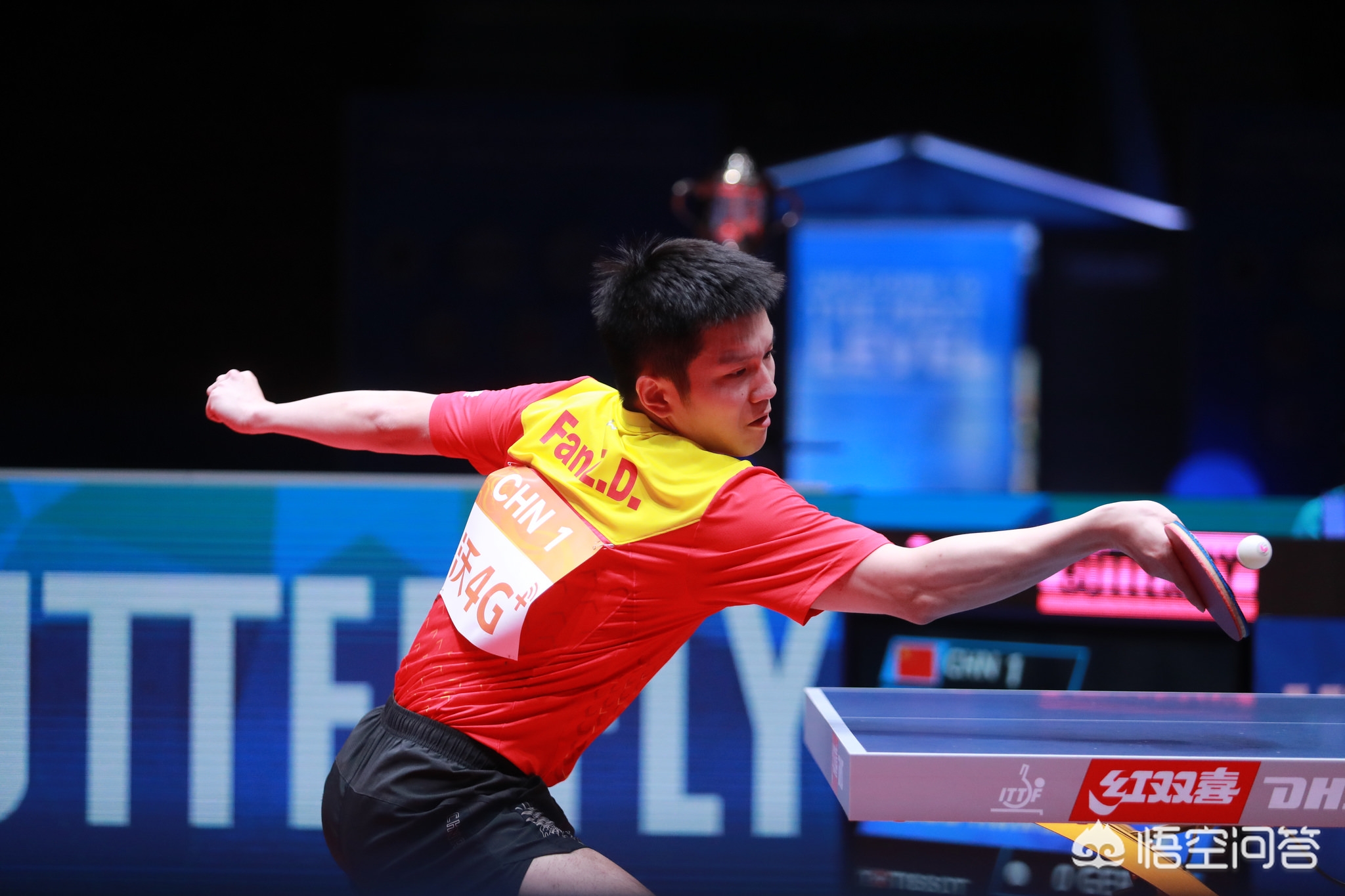 鸟赛季便赢 鸟赛季便赢